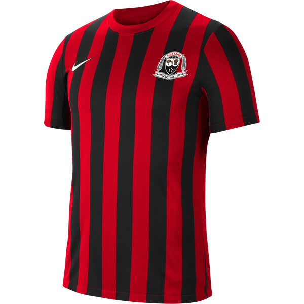 Nike us striped division 2 jersey sales