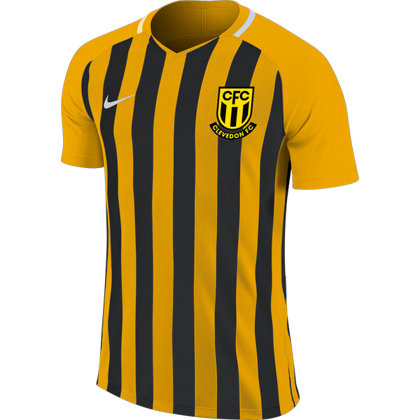 CLEVEDON FC NIKE STRIPED DIVISION IV HOME JERSEY - YOUTH'S