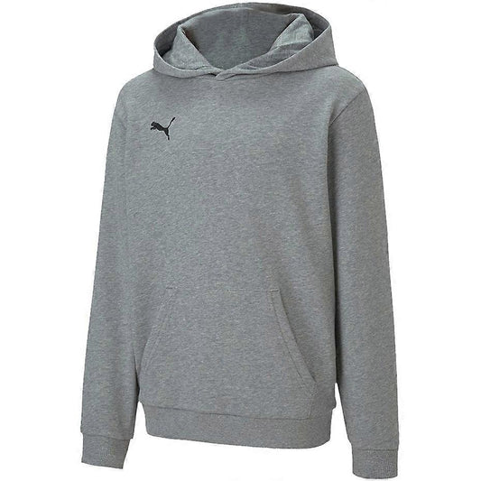 PUMA teamGOAL 23 CASUAL HOODIE JR - YOUTHS