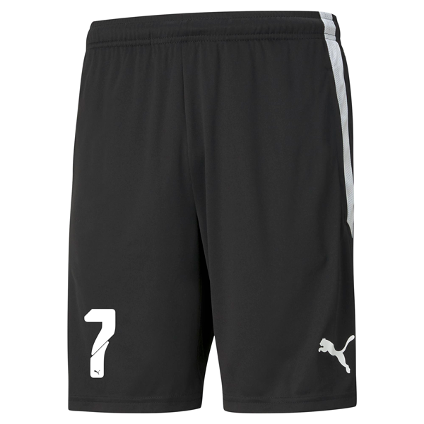 PUMA teamLIGA TRAINING SHORT - MENS