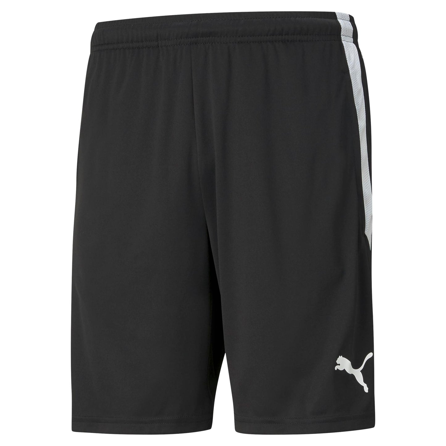 PUMA teamLIGA TRAINING SHORT - MENS