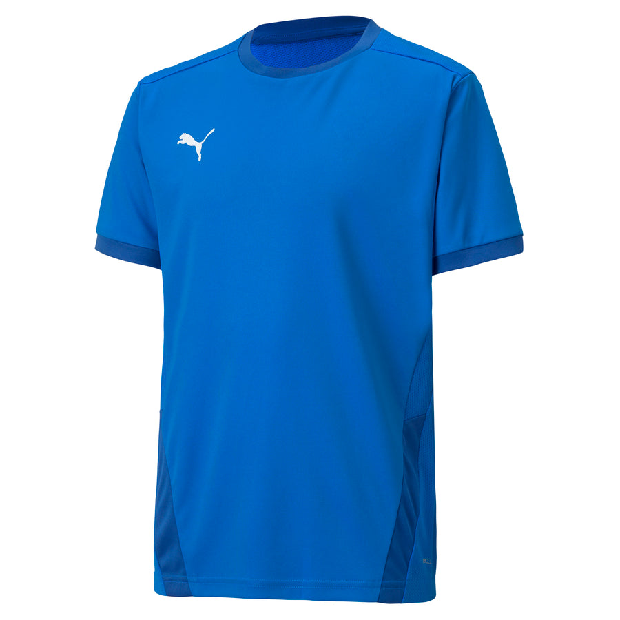 PUMA teamGOAL 23 JERSEY - MENS