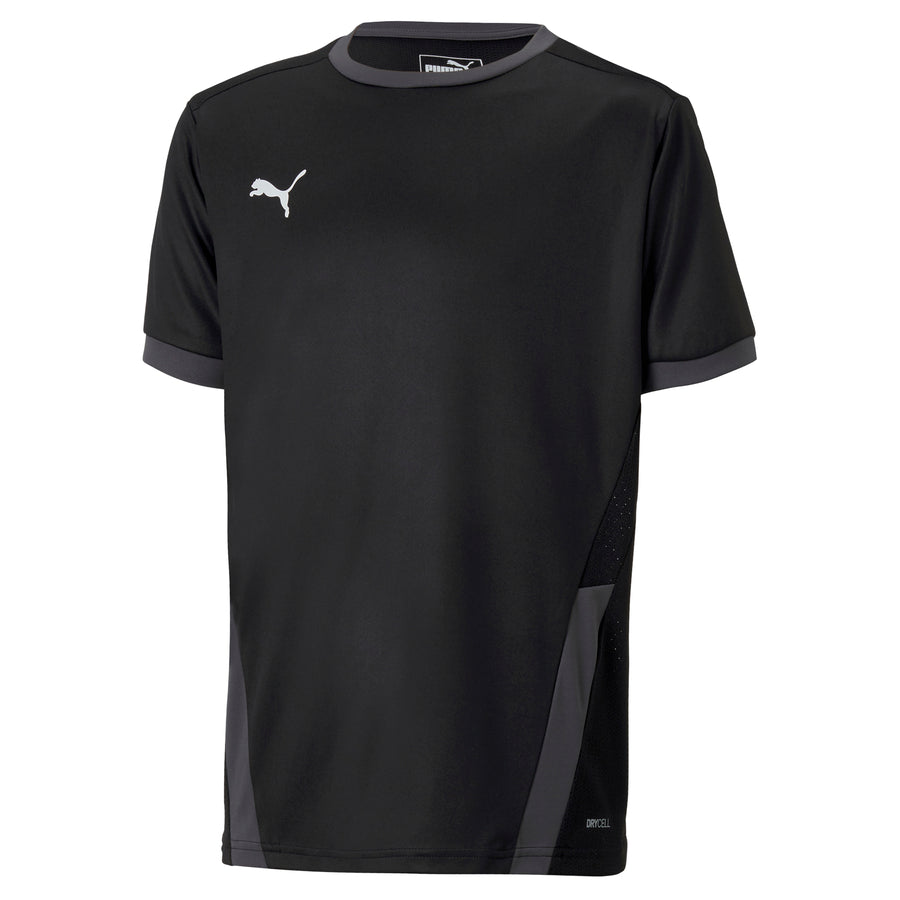 PUMA teamGOAL 23 JERSEY - MENS