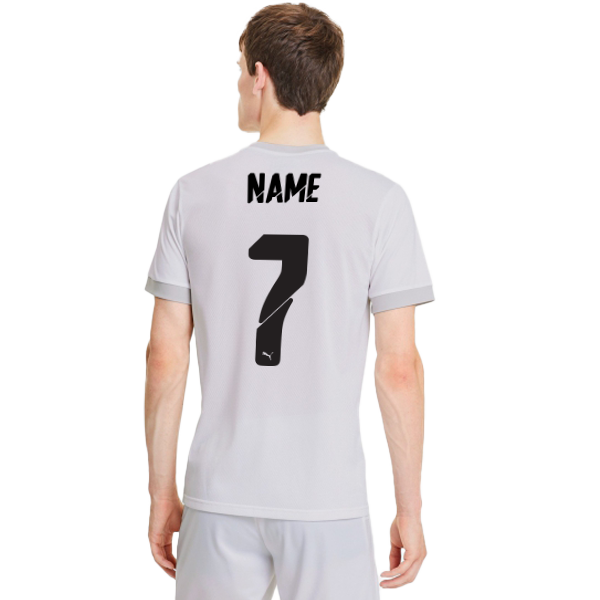 PUMA teamGOAL 23 JERSEY - MENS