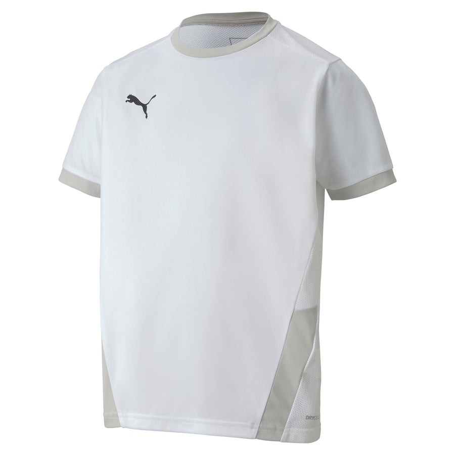 PUMA teamGOAL 23 JERSEY - MENS