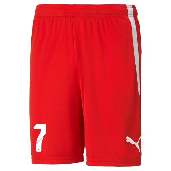 PUMA teamLIGA SHORT JR - YOUTHS