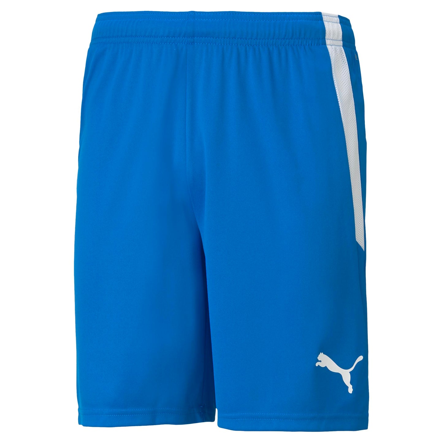 PUMA teamLIGA SHORT - MENS