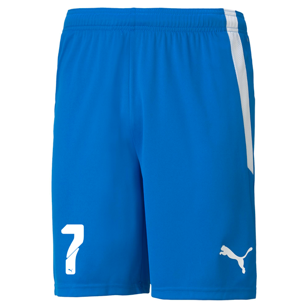 PUMA teamLIGA SHORT JR - YOUTHS