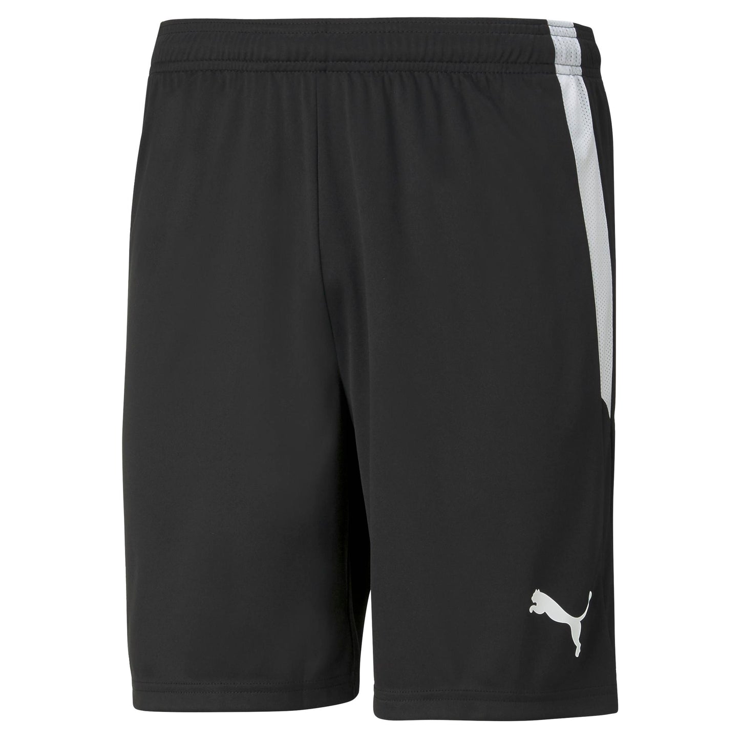 PUMA teamLIGA SHORT - MENS