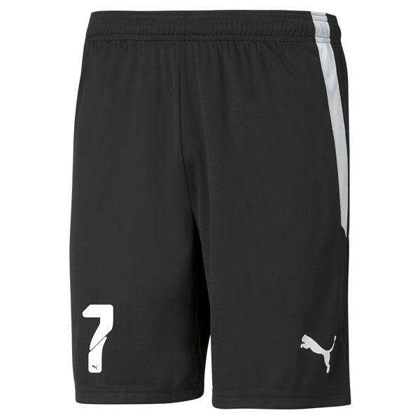 PUMA teamLIGA SHORT JR - YOUTHS