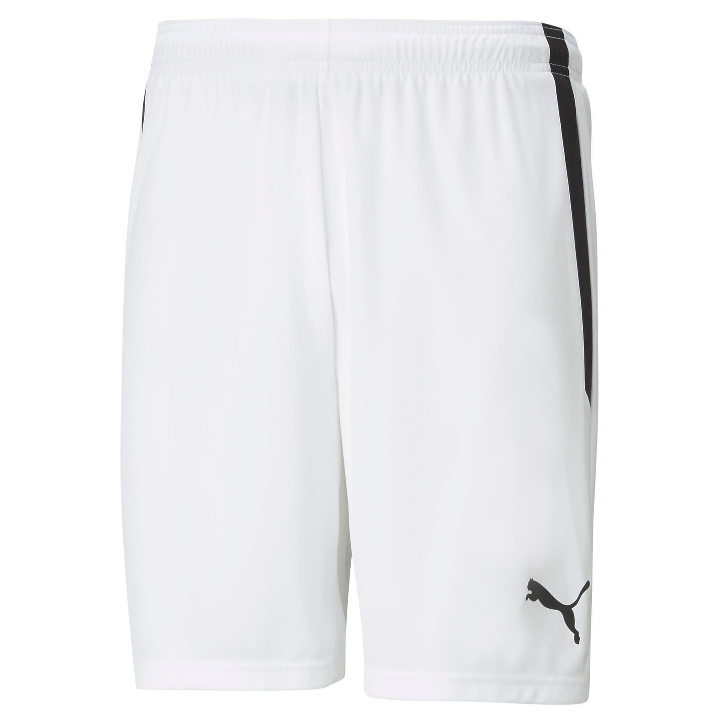 PUMA teamLIGA SHORT - MENS