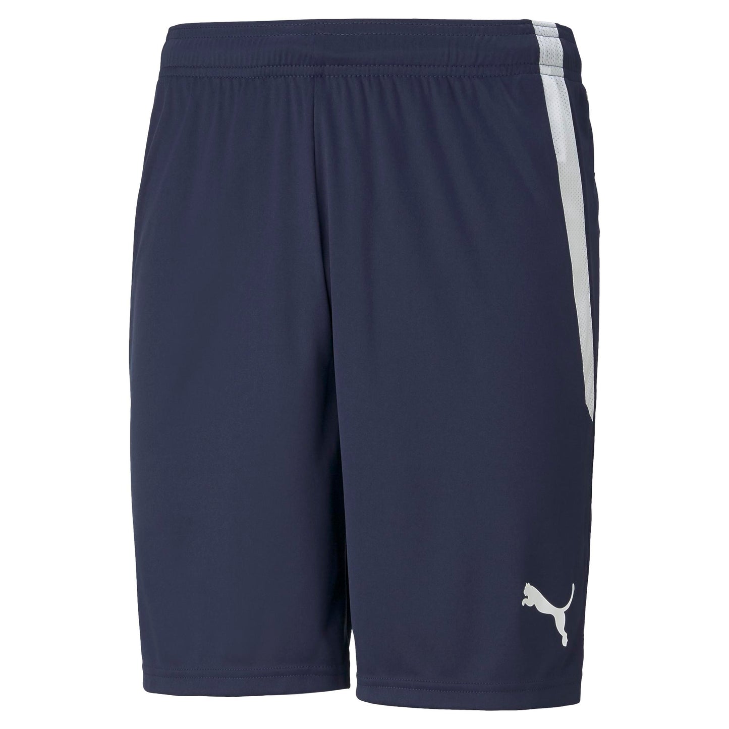 PUMA teamLIGA SHORT - MENS