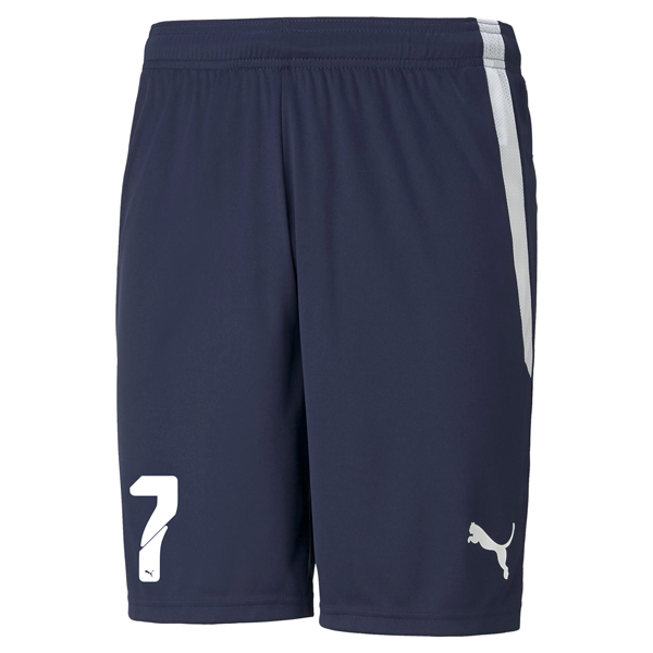 PUMA teamLIGA SHORT JR - YOUTHS