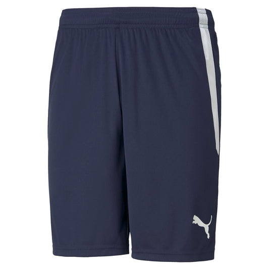 PUMA teamLIGA PEACOAT SHORT - MENS
