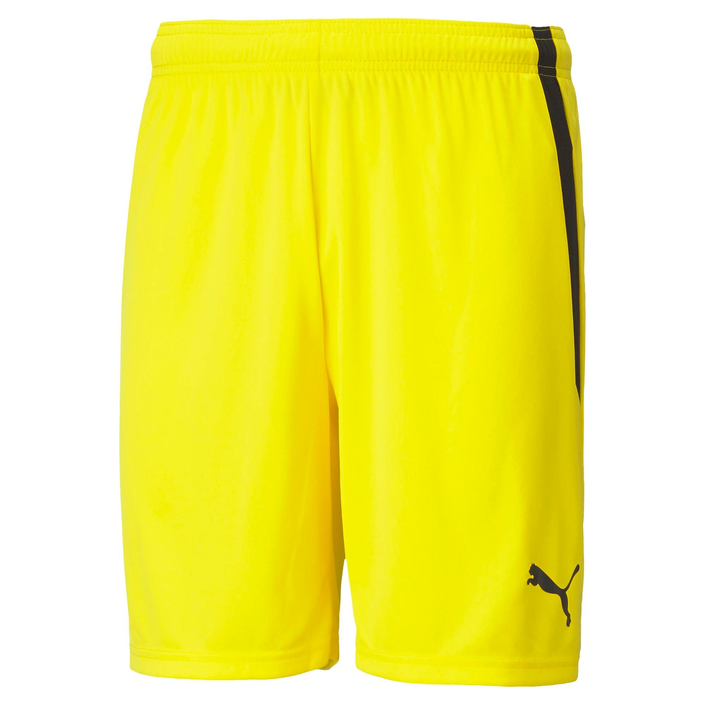 PUMA teamLIGA SHORT - MENS