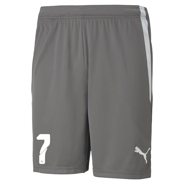 PUMA teamLIGA STEEL GREY SHORT - MENS