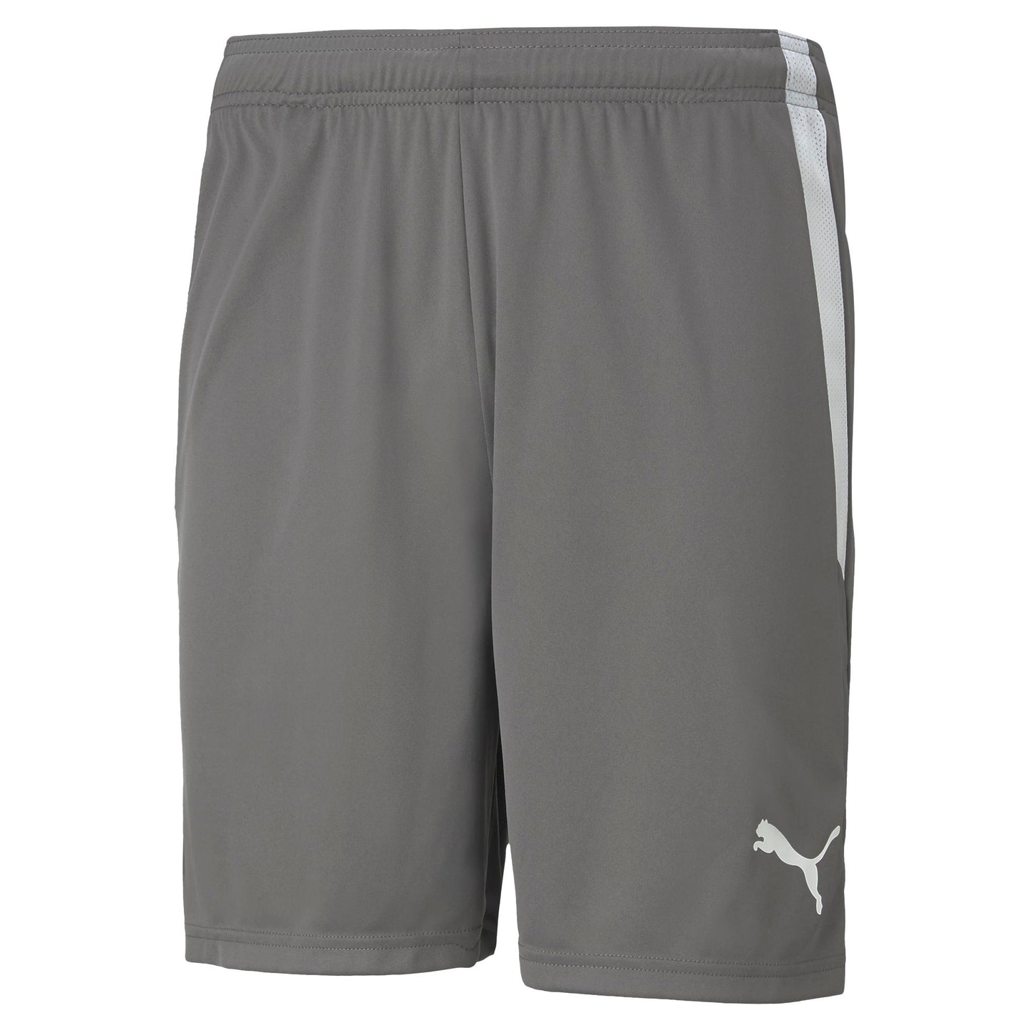 PUMA teamLIGA STEEL GREY SHORT - MENS