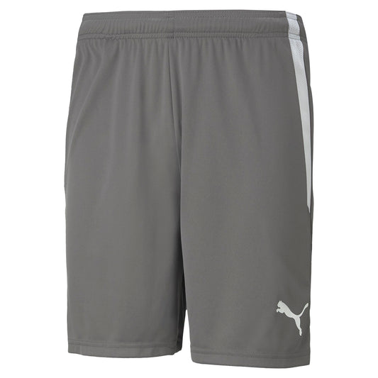 PUMA teamLIGA STEEL GREY SHORT - MENS