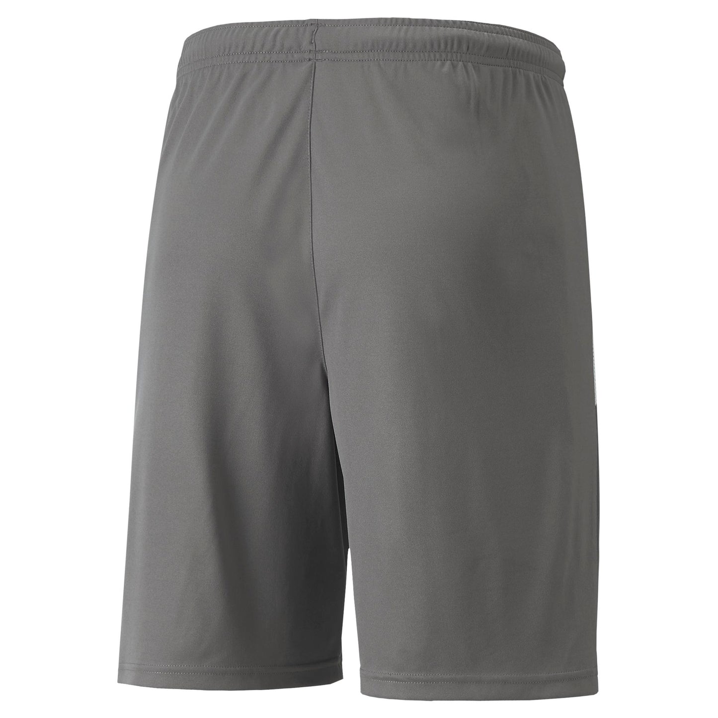 PUMA teamLIGA STEEL GREY SHORT - MENS