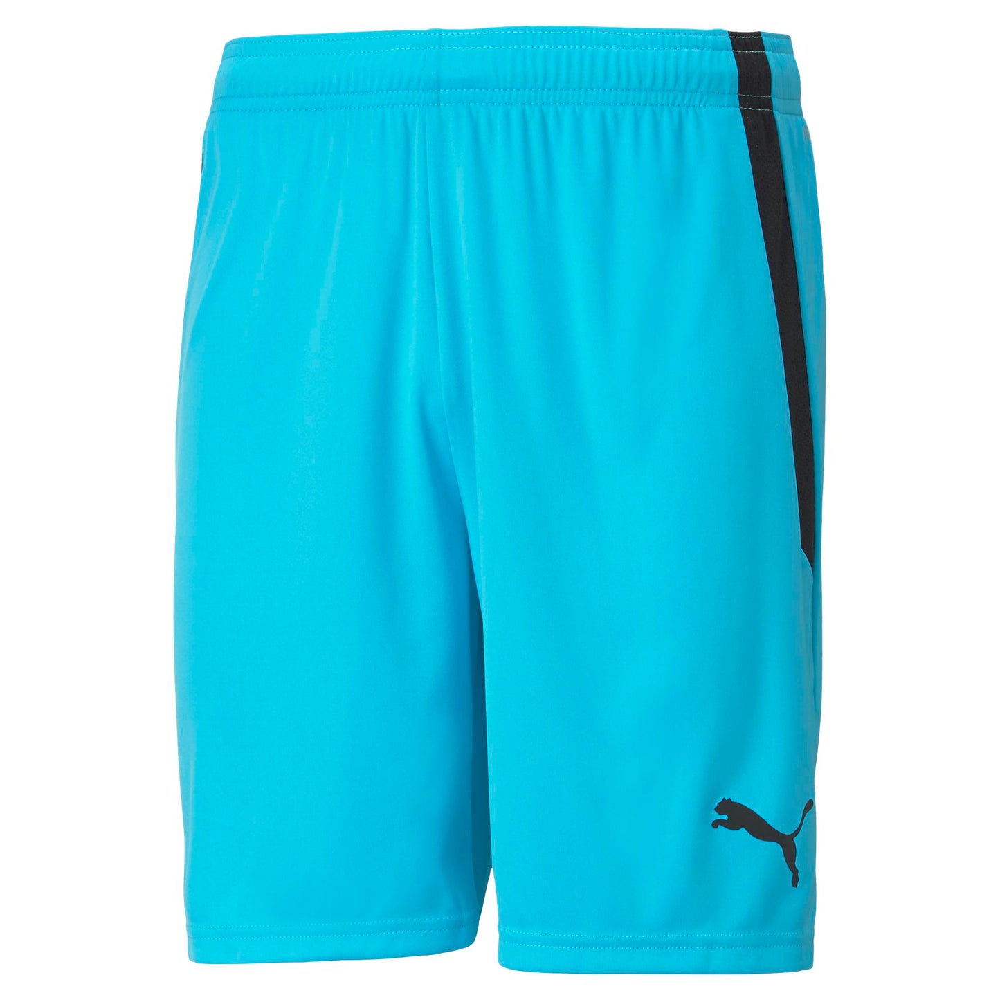 PUMA teamLIGA SHORT - MENS