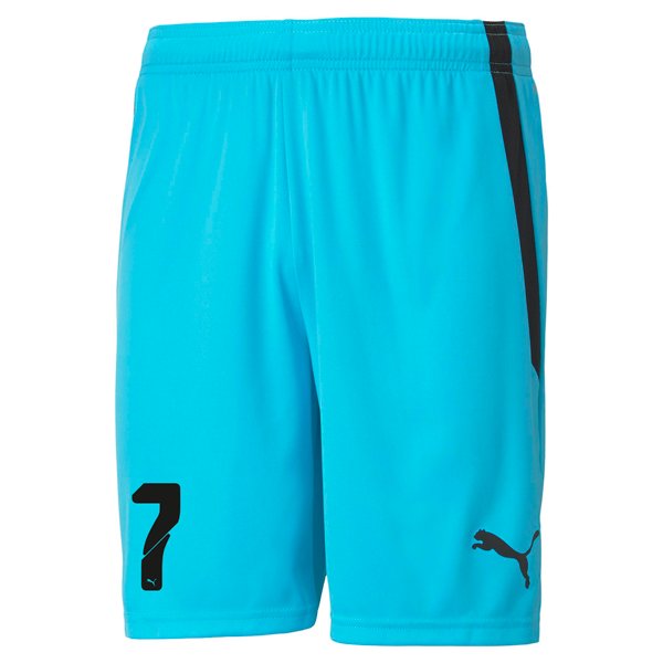 PUMA teamLIGA SHORT - MENS