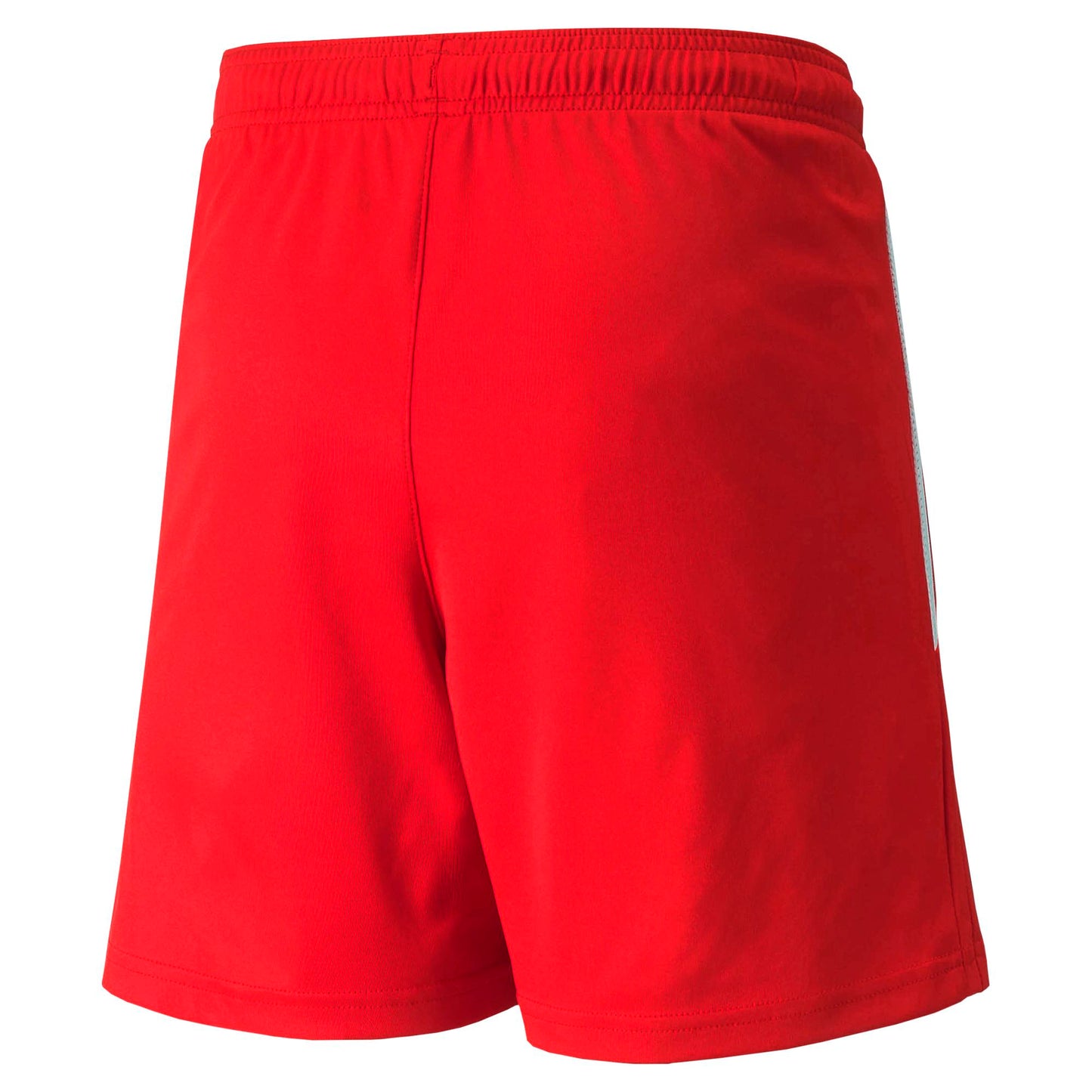 PUMA teamLIGA SHORT JR - YOUTHS