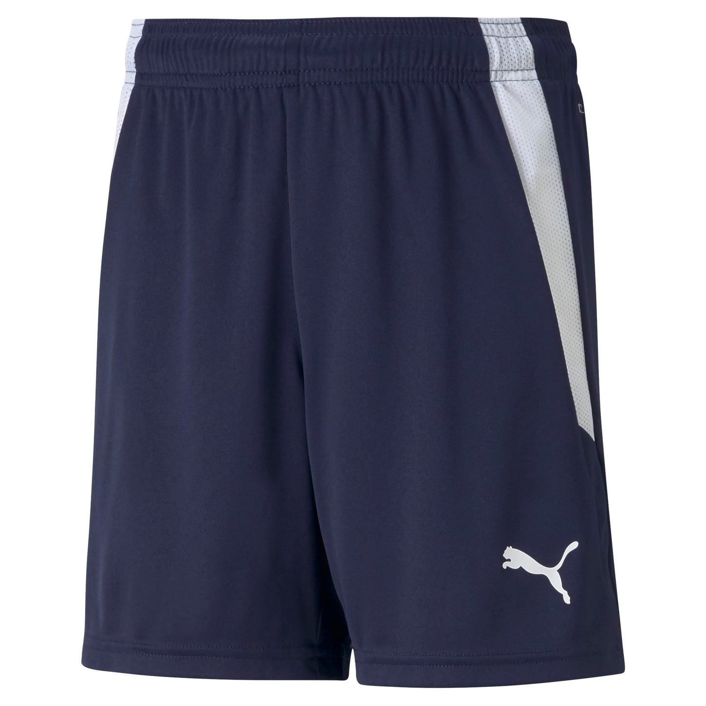 PUMA teamLIGA SHORT JR - YOUTHS