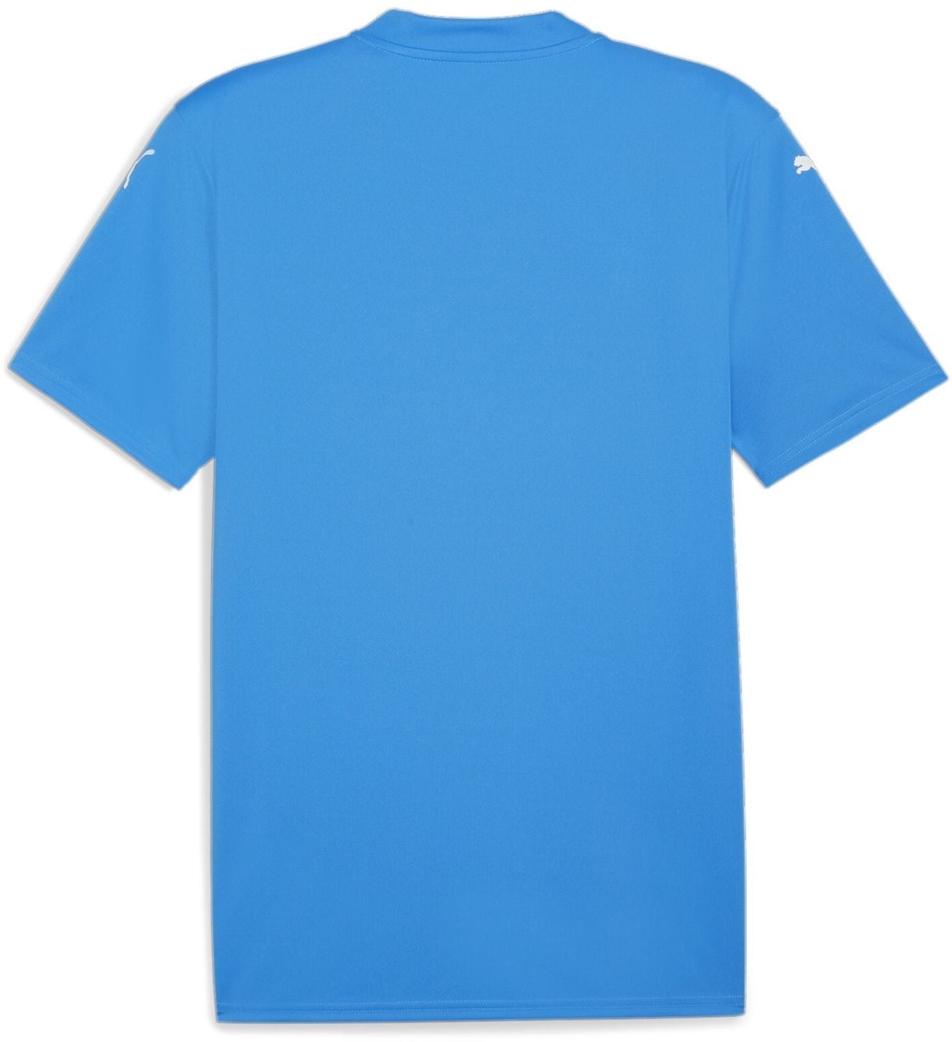 PUMA teamGLORY JERSEY - MENS