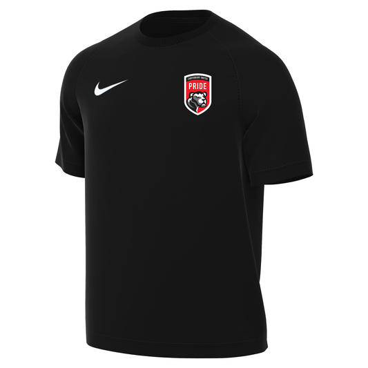 CANTERBURY PRIDE NIKE PARK JERSEY - YOUTH'S