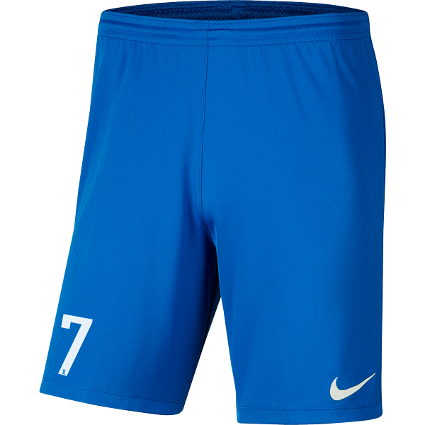 NIKE PARK III SHORT - MENS