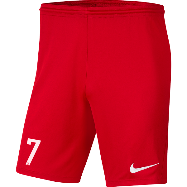 NIKE PARK III SHORT - MENS