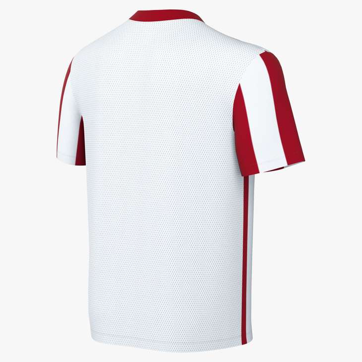 YOUTHS NIKE STRIPED DIVISION V JERSEY