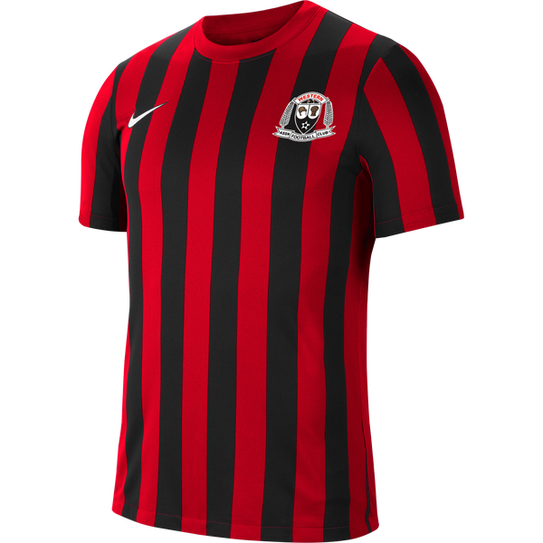 WESTERN AFC NIKE STRIPED DIVISION JERSEY - MEN'S