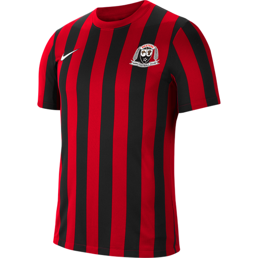 WESTERN AFC NIKE STRIPED DIVISION JERSEY - YOUTH'S